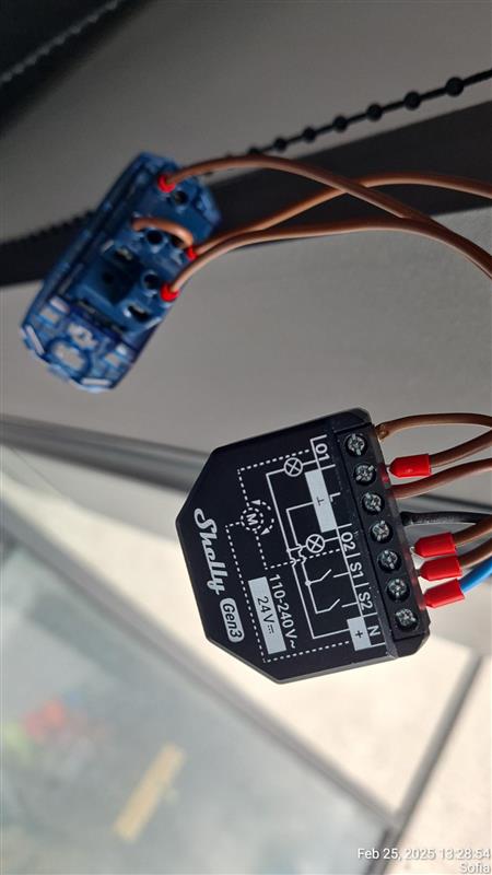 shared image (2).jpg