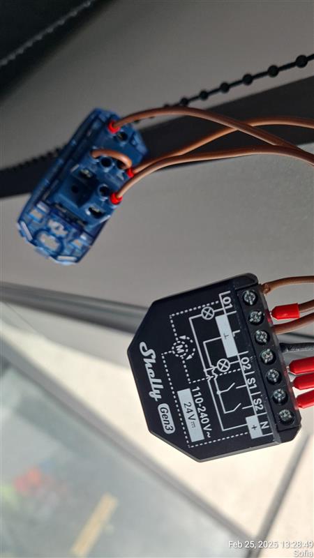 shared image (3).jpg