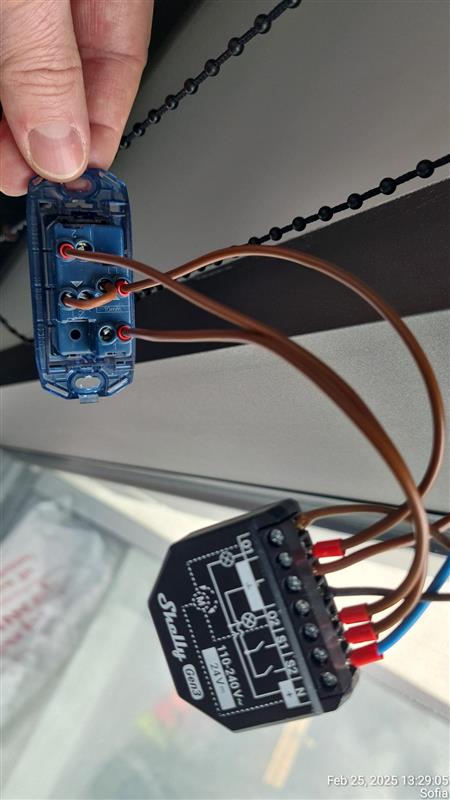 shared image (5).jpg