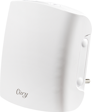 cury-image.png