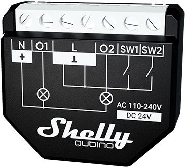 Special Template for 2 Motion Sensors with a Shelly 2.5 · Issue