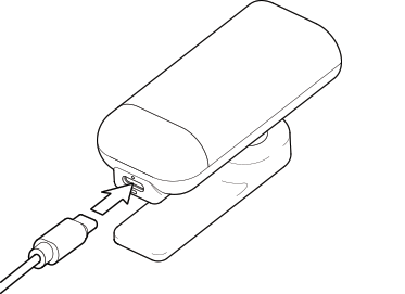 USP Type-C charging port