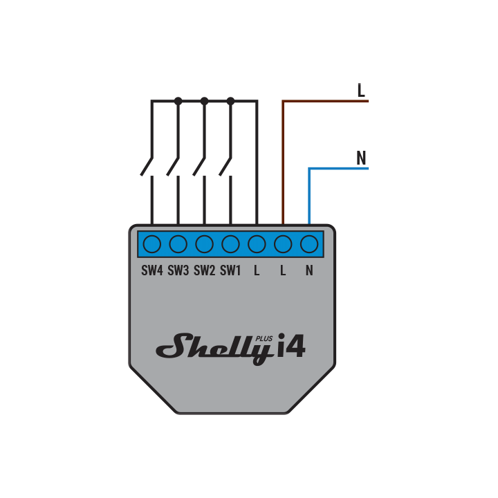 セットアップ Plus Shelly i4 USA Shelly – Windowsノート本体