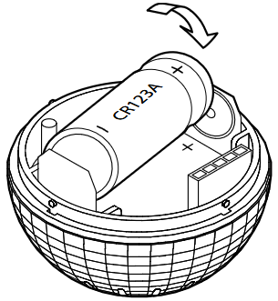 image-20241211-080922.png
